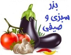فروش بذر سبزی و صیفی جات